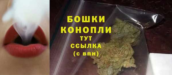 дмт Богородицк
