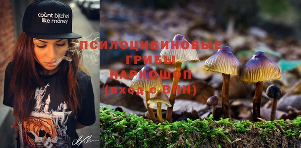 spice Бронницы