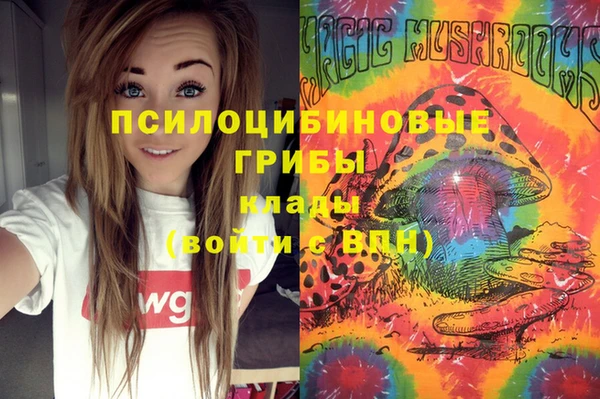 дмт Богородицк