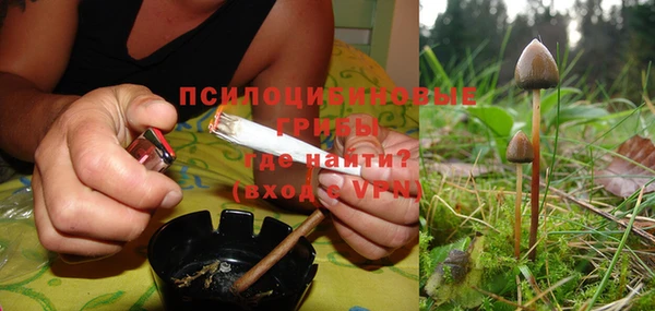 эйфоретик Богданович