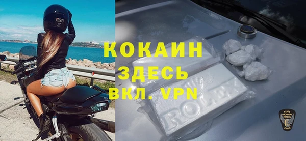 эйфоретик Богданович
