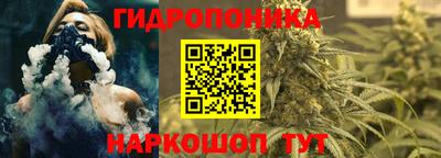 не бодяженный Новозыбков