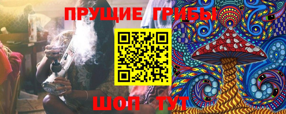 Псилоцибиновые грибы мицелий  Вход с VPN  Улан-Удэ 