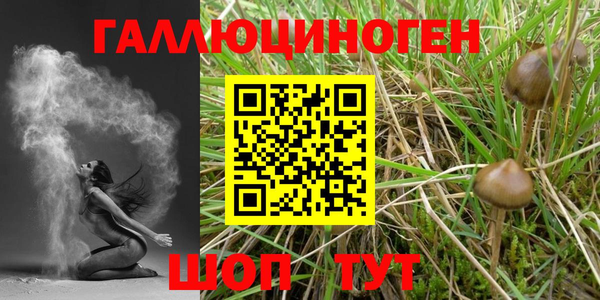 Галлюциногенные грибы мицелий Улан-Удэ